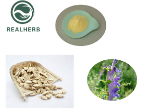 Natural Scutellaria Baicalensis Root Extract with Baicalin 80%，85% by HPLC