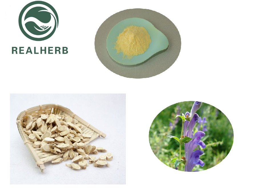 Light Yellow Baicalin Root Extract Powder Used in Animal Feed Ingredient