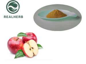 Top Quality Apple Peel Extract Phloretin 60-81-1 Phlorizin