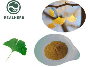Natural Ginkgo Biloba Leaf Extract Powder with 24% Flavones 6% Lactones 90045-36-6 for Brain Care