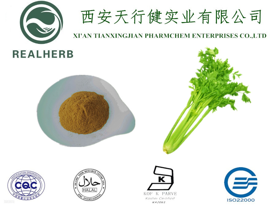 Celery Extract from China manufacturer TIANXINGJIAN PHARMCHEM