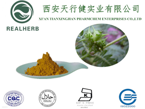 Natural Herbal Healthcare Tribulus Terristris Extract Powder for Sport Supplement