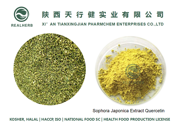 Sophora Japonica Extract Food Additive Quercetin Yellow Powder