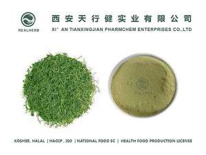 High Quality Jiaogulan Extract Gynostemma Pentaphyllum Extract Powder Gypenoside for Anti-fatigue