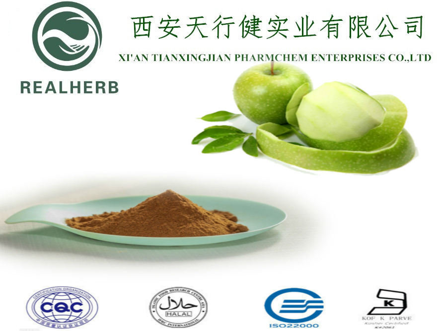 Unripe Green Apple Extract Polyphenols Powder 80%
