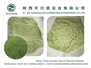 Organic Wheat Grass Powder | Wheat Grass Juice Powder | Barley Seedling Powder | Free of Pesticide Residue | No Added Pigment & Flavor