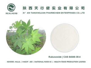 Sweet Tea Extract Powder with CAS 64849-39-4 Rubusoside 20-90%%