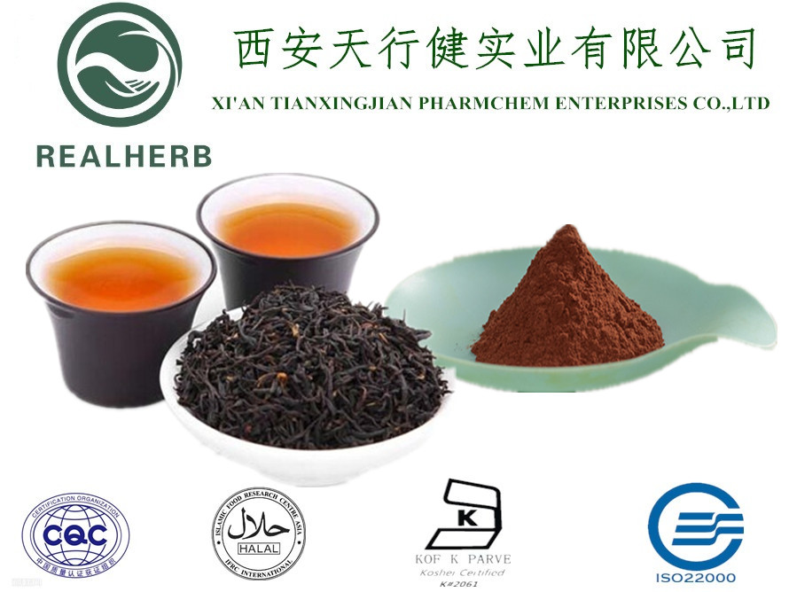 Instant Black Tea Extract Powder Tea Polyphenols from China