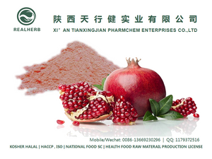 No Added Pigment & Flavor Pomegranate Juice Powder From Manufacturer for Solid Drink