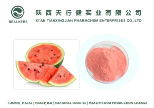 Food Grade Watermelon Fruit Juice Powder for Milk Tea Milkshake Beverage Cake