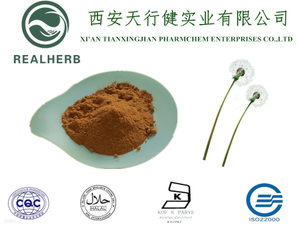 Factory Supply Dandelion Extract 10:1 Used for Toothpaste