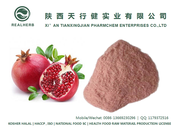 No Added Pigment & Flavor Pomegranate Juice Powder From Manufacturer for Solid Drink